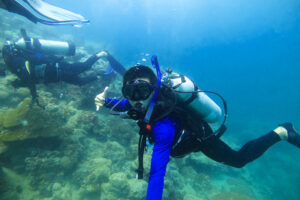Pesona Bawah Laut Pulau Lemukutan